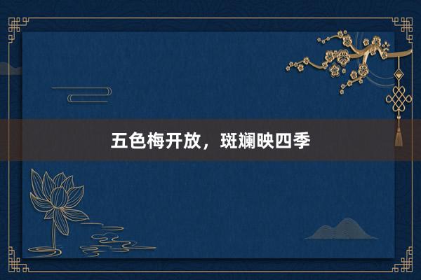 五色梅开放，斑斓映四季