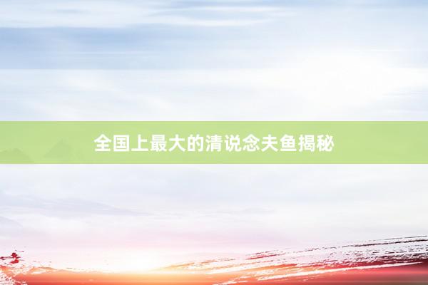 全国上最大的清说念夫鱼揭秘