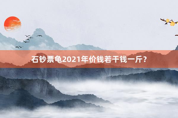 石钞票龟2021年价钱若干钱一斤？